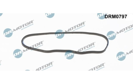 Gasket, timing case cover