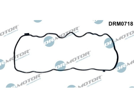 Gasket, timing case cover