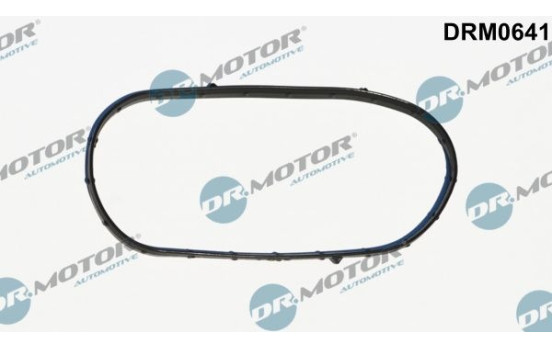 Gasket, timing case cover