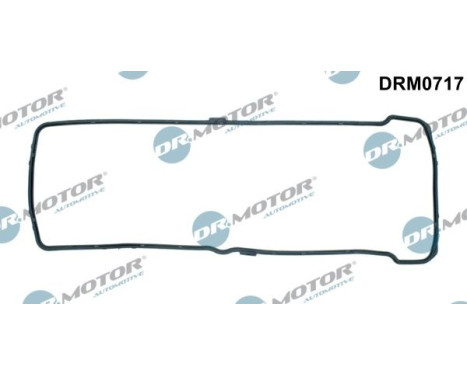 Gasket, timing case cover