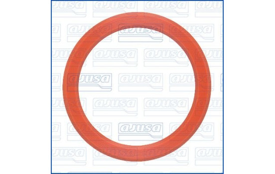 Gasket, timing case cover