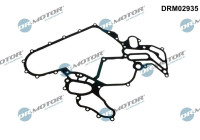 Gasket, timing case cover