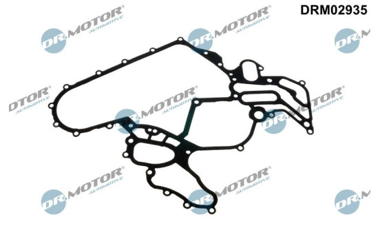 Gasket, timing case cover