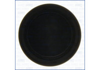 Gasket, timing case cover