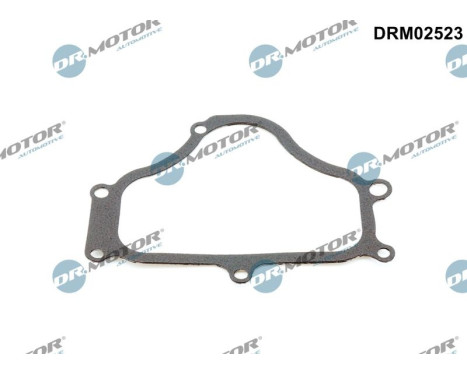 Gasket, timing case cover