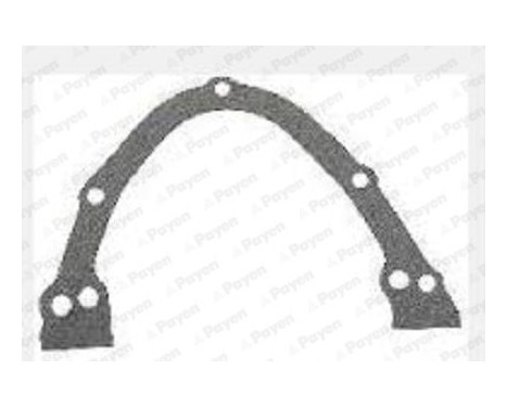 Gasket, timing case JR596 Payen