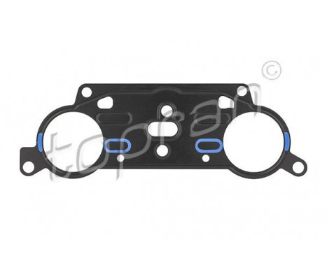 Gasket, timing case