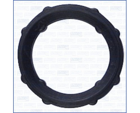 Gasket, timing case