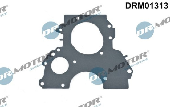 Gasket, timing case
