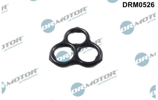 Gasket, timing case