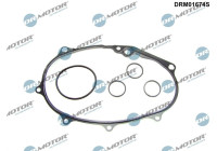 Gasket, timing case