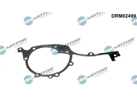 Gasket, timing case