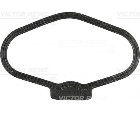 Gasket, cylinder head cover 71-10170-00 Viktor Reinz