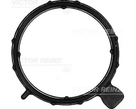 Gasket, cylinder head cover 71-11923-00 Viktor Reinz