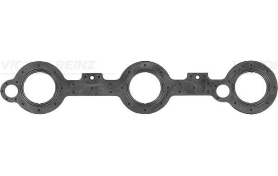 Gasket, cylinder head cover 71-33829-00 Viktor Reinz