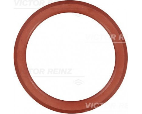 Gasket, cylinder head cover 71-38552-00 Viktor Reinz