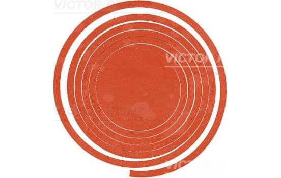 Gasket, cylinder head cover 71-41444-00 Viktor Reinz