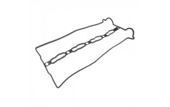 Gasket, cylinder head cover ADG06714 Blue Print