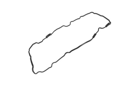 Gasket, cylinder head cover ADN16744 Blue Print