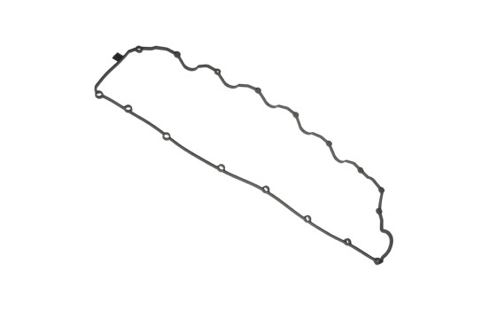 Gasket, cylinder head cover ADT36765 Blue Print