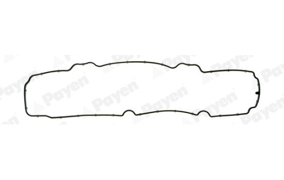 Gasket, cylinder head cover JM5299 Payen