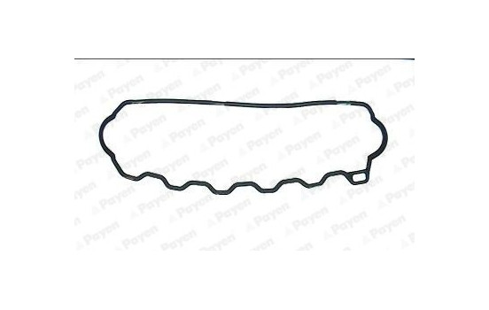 Gasket, cylinder head cover JN967 Payen