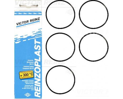 Gasket Set, cylinder head cover 15-76741-02 Viktor Reinz