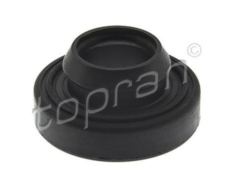 Seal Ring, cylinder head cover bolt