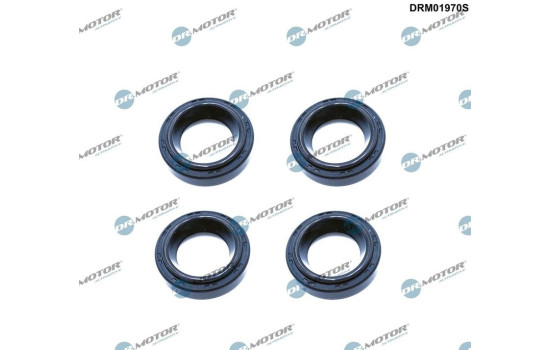 Sealing ring, spark plug shaft