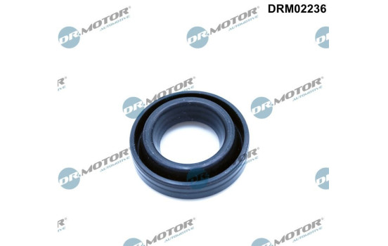 Sealing ring, spark plug shaft