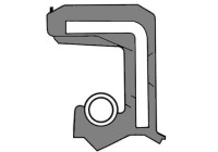 Sealing ring, spark plug shaft