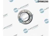 Oil seal, camshaft