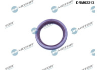 Oil seal, camshaft