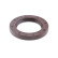 Oil seal, camshaft