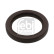 Shaft Seal, camshaft 04590 FEBI, Thumbnail 2