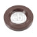 Shaft Seal, camshaft 10538 FEBI, Thumbnail 3