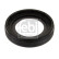 Shaft Seal, camshaft 40108 FEBI, Thumbnail 2