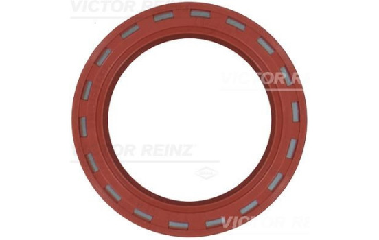 Shaft Seal, camshaft 81-24909-10 Viktor Reinz