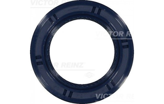 Shaft Seal, camshaft 81-53491-00 Viktor Reinz