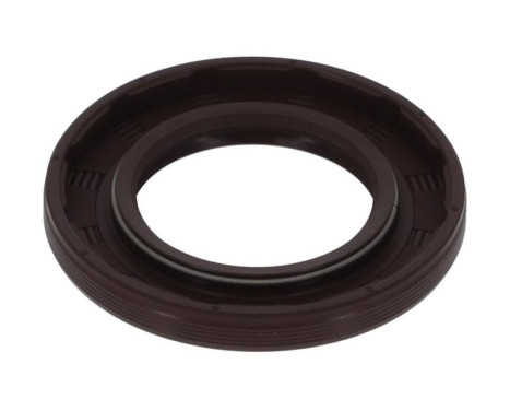 Shaft Seal, camshaft NA5257 Payen