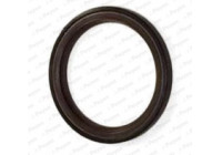 Shaft Seal, camshaft NA5317 Payen