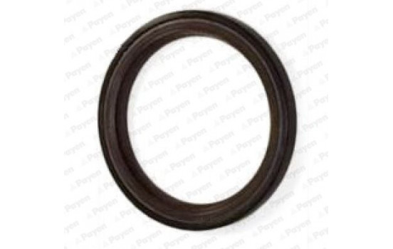 Shaft Seal, camshaft NA5317 Payen