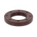 Shaft Seal, camshaft