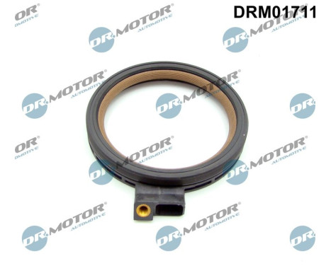 Oil seal, crankshaft