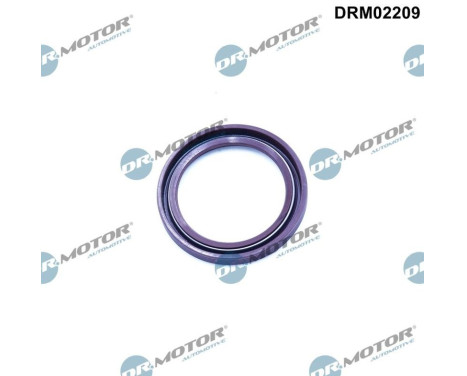 Oil seal, crankshaft