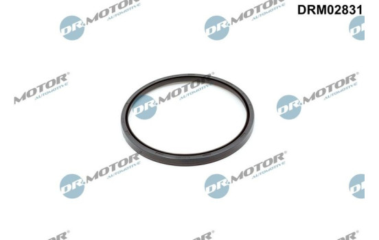 Oil seal, crankshaft