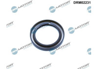 Oil seal, crankshaft