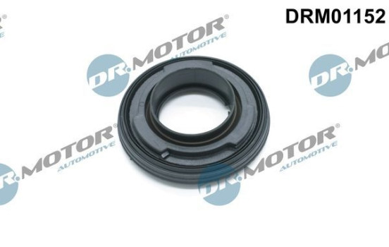 Oil seal, crankshaft