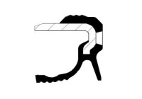 Oil seal, crankshaft