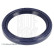 Oil seal, crankshaft